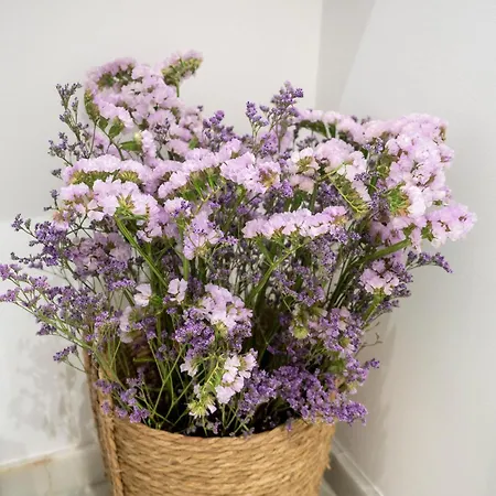 Bhost - Juan De Mena Apartment *